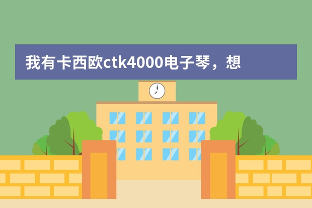 我有卡西欧ctk4000电子琴，想接有源音箱怎么接呢？用什么品牌为好？价格千元以内。望行家解忧。