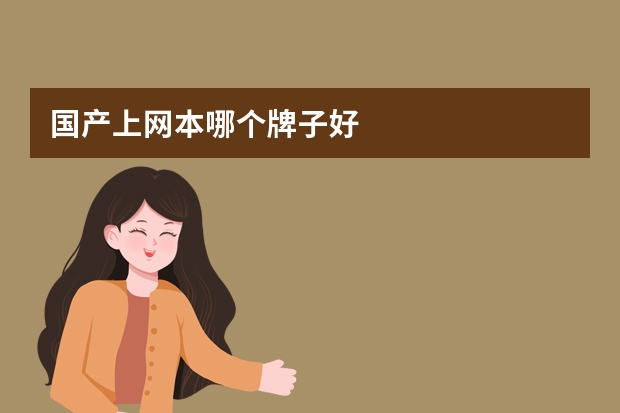 国产上网本哪个牌子好