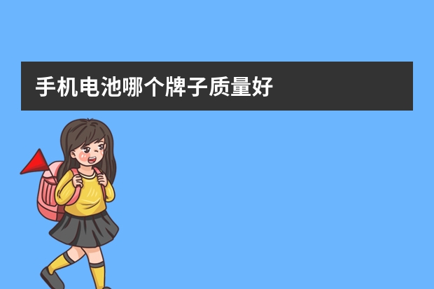 手机电池哪个牌子质量好