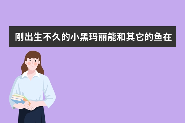 刚出生不久的小黑玛丽能和其它的鱼在一起养吗？