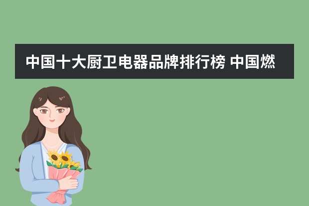 中国十大厨卫电器品牌排行榜 中国燃气灶十大品牌（最热门）