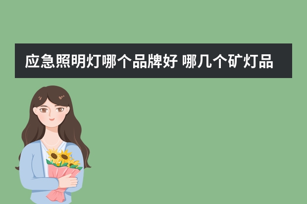 应急照明灯哪个品牌好 哪几个矿灯品牌好