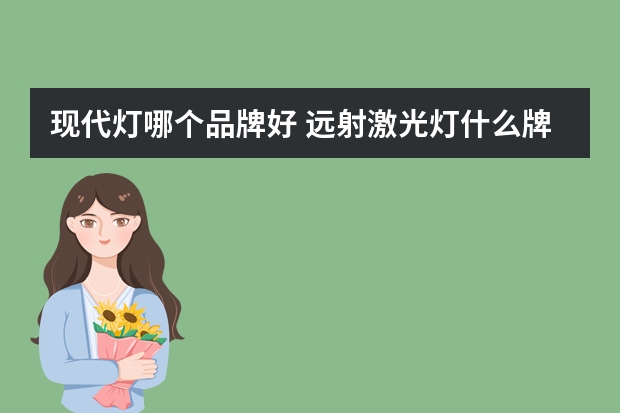 现代灯哪个品牌好 远射激光灯什么牌子的好