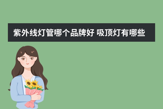 紫外线灯管哪个品牌好 吸顶灯有哪些牌子