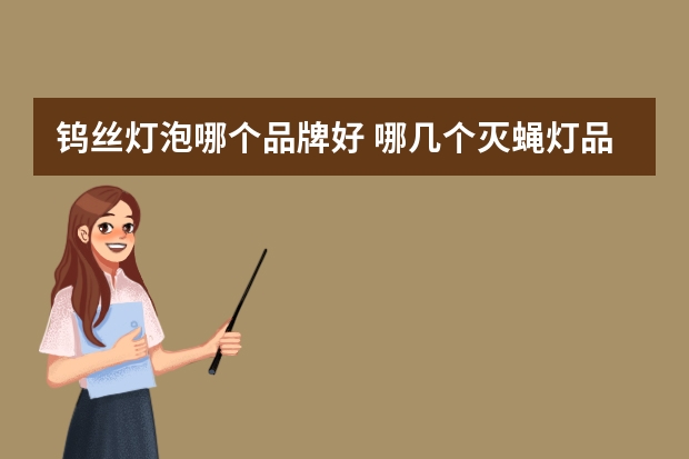 钨丝灯泡哪个品牌好 哪几个灭蝇灯品牌好