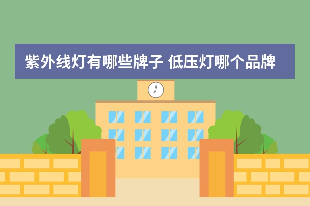 紫外线灯有哪些牌子 低压灯哪个品牌好