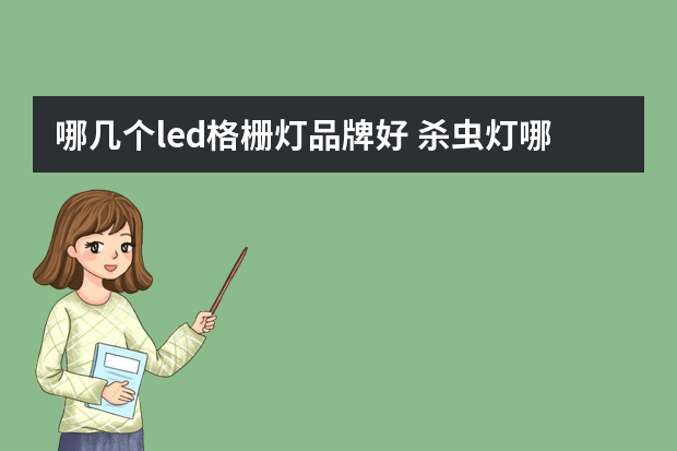 哪几个led格栅灯品牌好 杀虫灯哪个品牌好