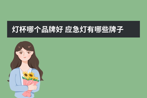 灯杯哪个品牌好 应急灯有哪些牌子