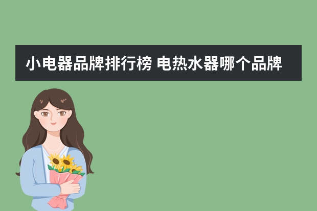 小电器品牌排行榜 电热水器哪个品牌好？十大品牌排行榜