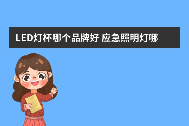 LED灯杯哪个品牌好 应急照明灯哪个品牌好
