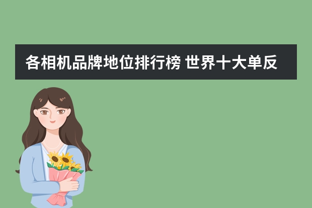 各相机品牌地位排行榜 世界十大单反相机品牌都有哪些?