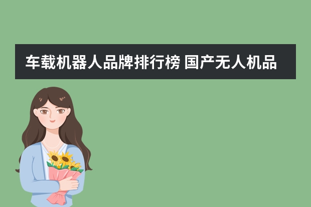 车载机器人品牌排行榜 国产无人机品牌排行榜是怎样的？