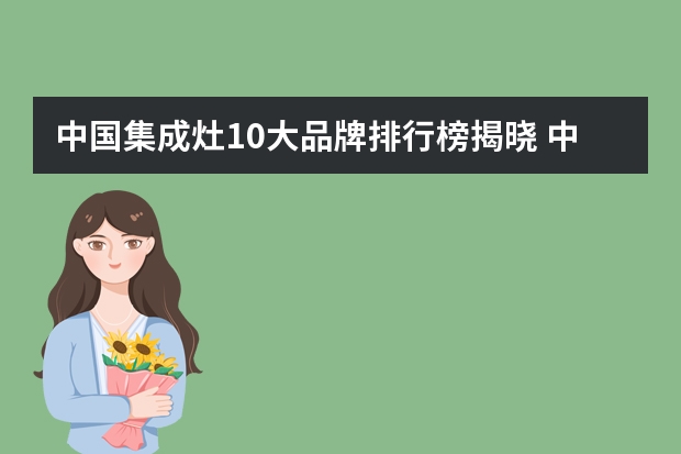 中国集成灶10大品牌排行榜揭晓 中国集成灶十大品牌是哪些