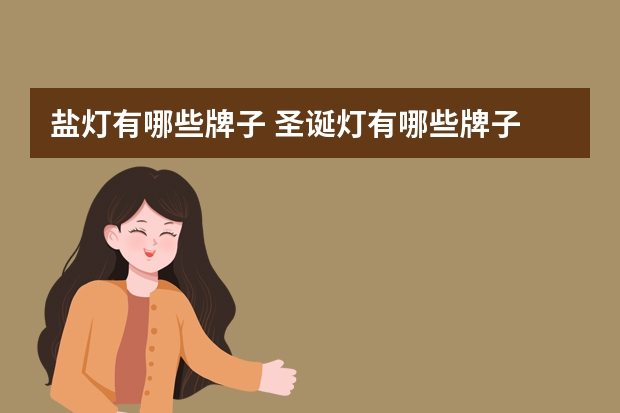盐灯有哪些牌子 圣诞灯有哪些牌子