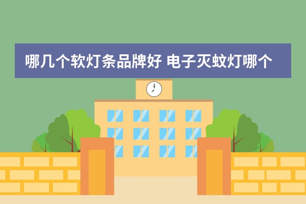 哪几个软灯条品牌好 电子灭蚊灯哪个品牌好