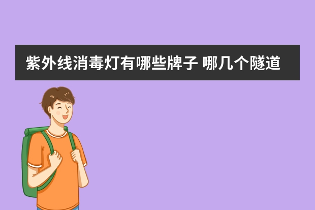 紫外线消毒灯有哪些牌子 哪几个隧道灯品牌好