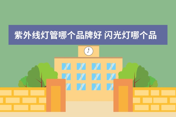 紫外线灯管哪个品牌好 闪光灯哪个品牌最好