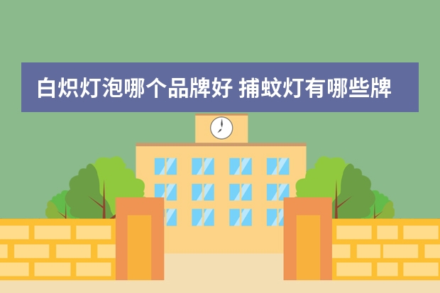白炽灯泡哪个品牌好 捕蚊灯有哪些牌子
