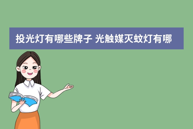 投光灯有哪些牌子 光触媒灭蚊灯有哪些牌子