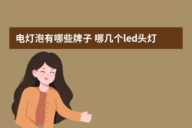 电灯泡有哪些牌子 哪几个led头灯品牌好