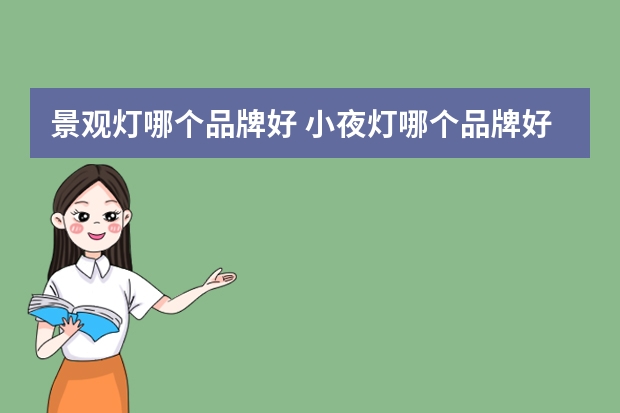 景观灯哪个品牌好 小夜灯哪个品牌好