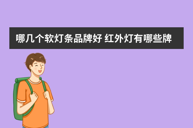 哪几个软灯条品牌好 红外灯有哪些牌子