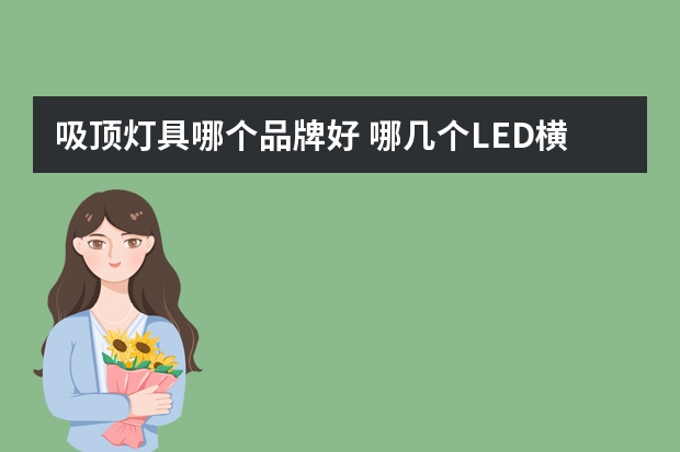 吸顶灯具哪个品牌好 哪几个LED横插灯品牌好
