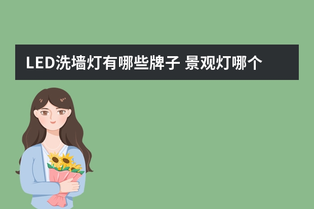 LED洗墙灯有哪些牌子 景观灯哪个品牌好