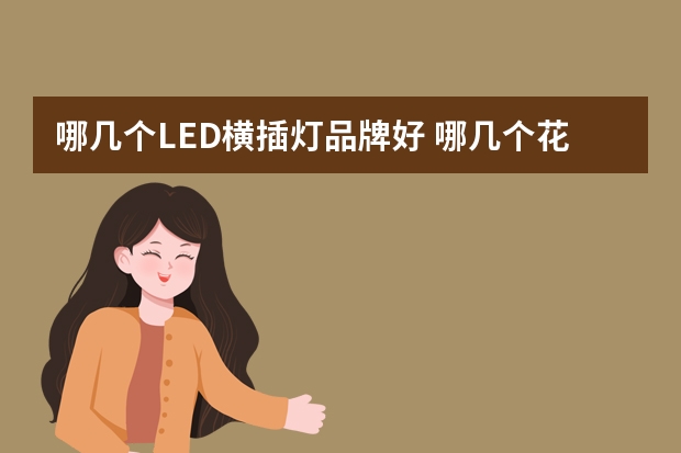 哪几个LED横插灯品牌好 哪几个花灯品牌好