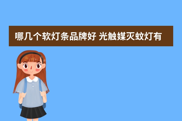 哪几个软灯条品牌好 光触媒灭蚊灯有哪些牌子
