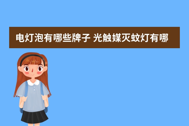 电灯泡有哪些牌子 光触媒灭蚊灯有哪些牌子
