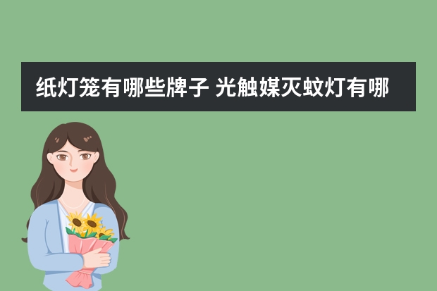 纸灯笼有哪些牌子 光触媒灭蚊灯有哪些牌子