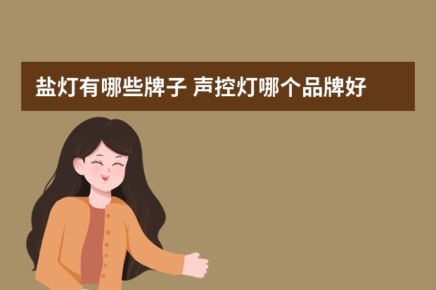 盐灯有哪些牌子 声控灯哪个品牌好