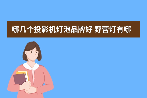 哪几个投影机灯泡品牌好 野营灯有哪些牌子