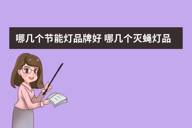 哪几个节能灯品牌好 哪几个灭蝇灯品牌好