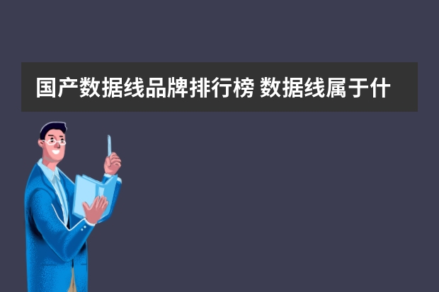 国产数据线品牌排行榜 数据线属于什么类目