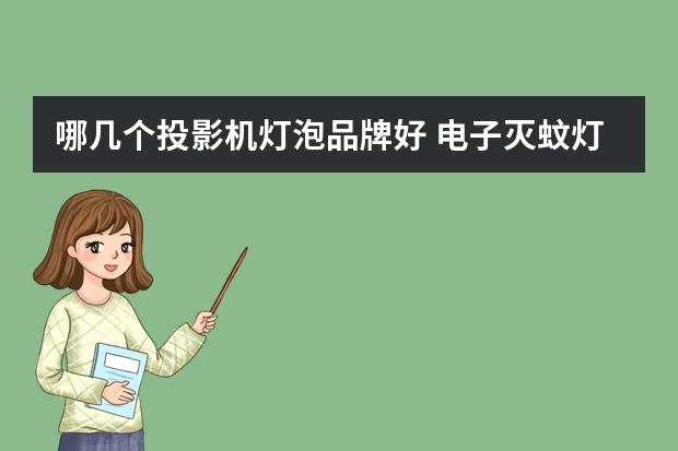 哪几个投影机灯泡品牌好 电子灭蚊灯哪个品牌好