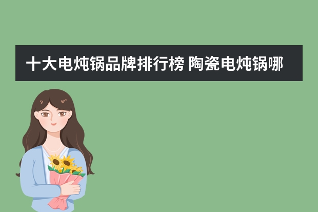 十大电炖锅品牌排行榜 陶瓷电炖锅哪个牌子好陶瓷电炖锅品牌有哪些