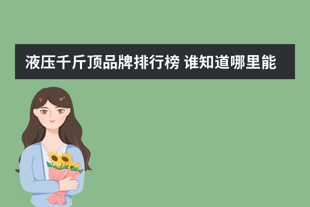 液压千斤顶品牌排行榜 谁知道哪里能买到分离式液压千斤顶？