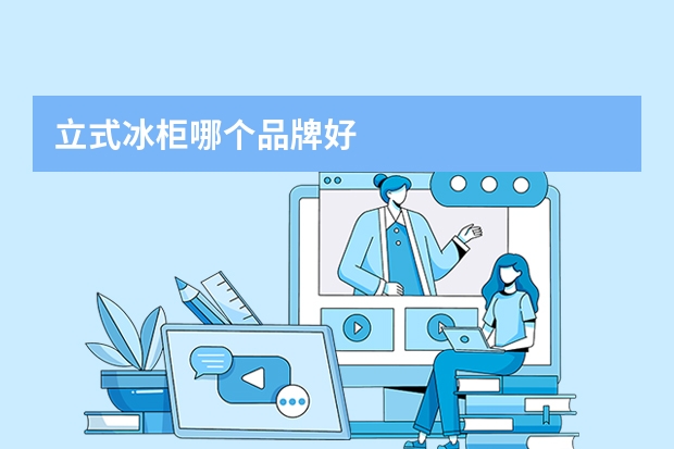 立式冰柜哪个品牌好