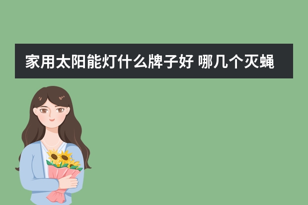 家用太阳能灯什么牌子好 哪几个灭蝇灯品牌好
