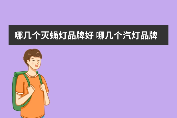 哪几个灭蝇灯品牌好 哪几个汽灯品牌好
