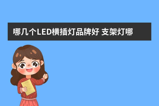 哪几个LED横插灯品牌好 支架灯哪个品牌好