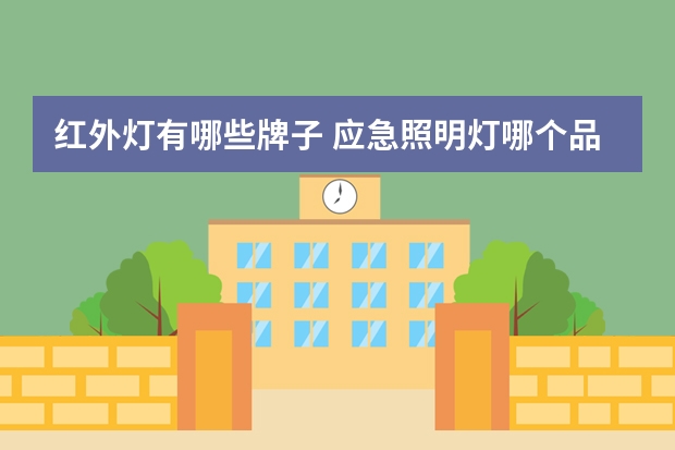 红外灯有哪些牌子 应急照明灯哪个品牌好