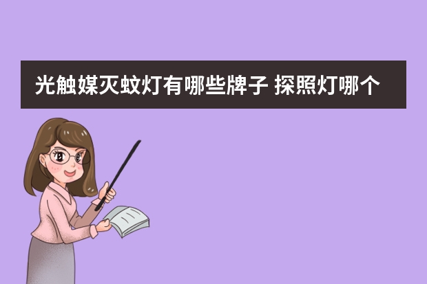 光触媒灭蚊灯有哪些牌子 探照灯哪个品牌好