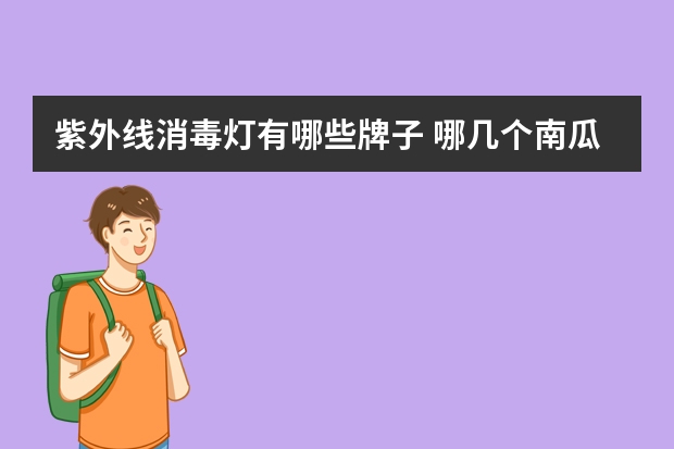 紫外线消毒灯有哪些牌子 哪几个南瓜灯品牌好