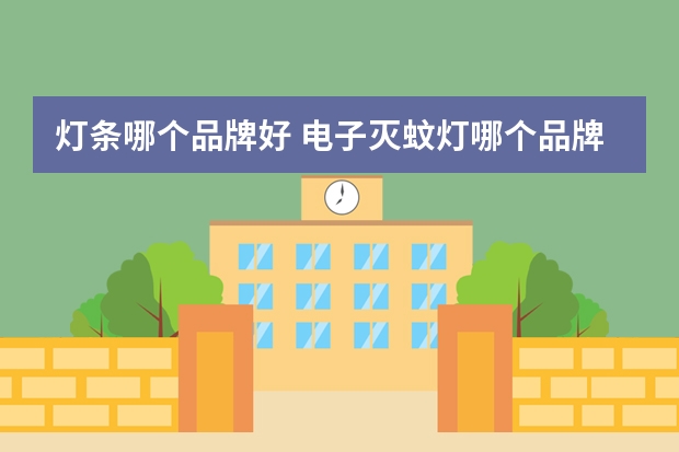 灯条哪个品牌好 电子灭蚊灯哪个品牌好