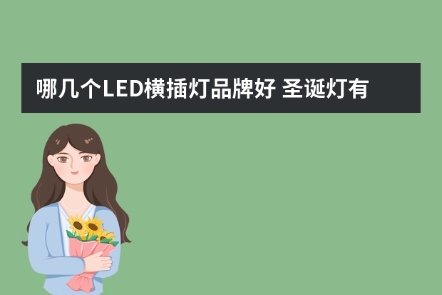 哪几个LED横插灯品牌好 圣诞灯有哪些牌子