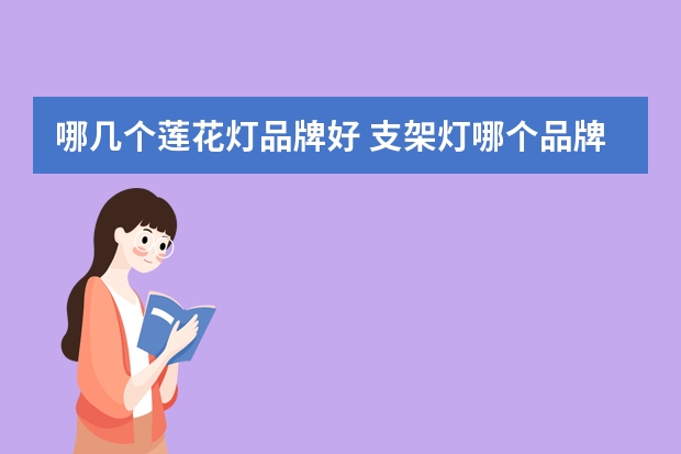 哪几个莲花灯品牌好 支架灯哪个品牌好