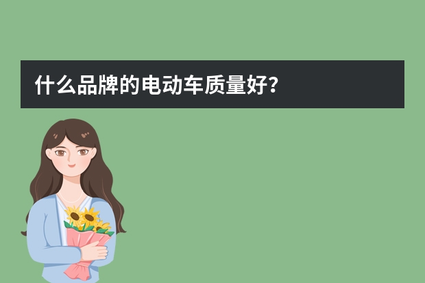 什么品牌的电动车质量好？